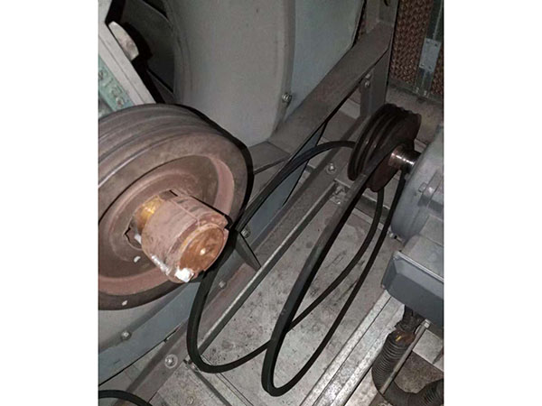 綠化工程