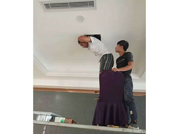 立體綠化